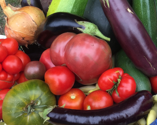 Willkommen AUS MAMAS GARTEN