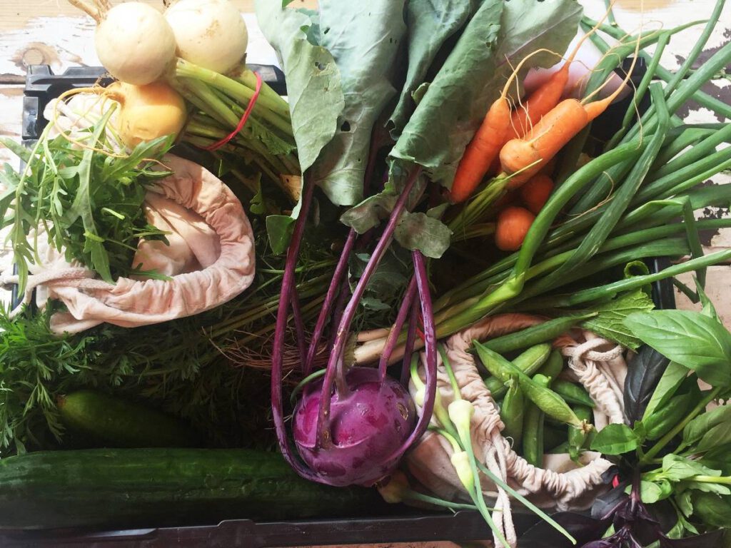 Willkommen AUS MAMAS GARTEN